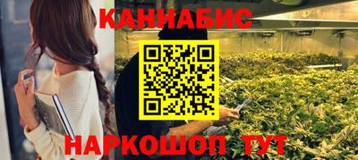 прущие грибы Краснознаменск
