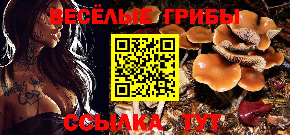 Галлюциногенные грибы ЛСД  Галлюциногенные грибы ЛСД  Верхняя Салда  закладка  Вход с VPN 